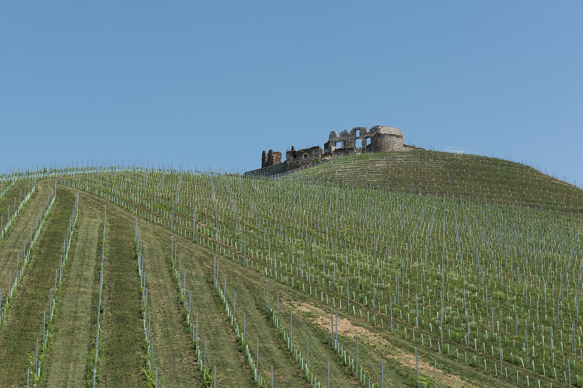 Les coteaux de la Sainte-Baume